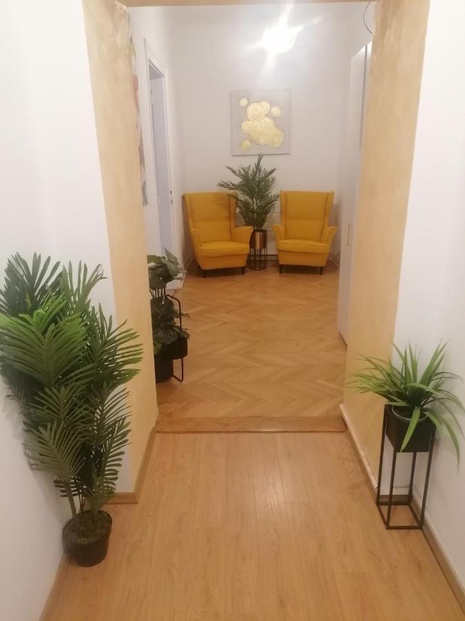 Studio Excelsior 1 Sibiu Extérieur photo